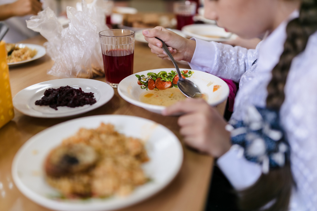 В Мурманскую областную Думу внесен законопроект о бесплатном питании детям из семей мобилизованных